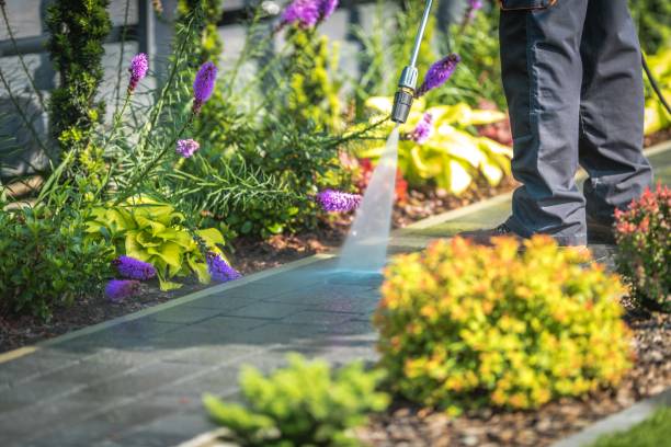 Best Soft Washing for Delicate Surfaces in Mason, TX